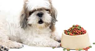 best dog food for shih tzu puppies adults and senior dogs