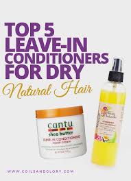 Your hair doesn't really stand. Top 5 Leave In Conditioners For Dry Natural Hair Dry Natural Hair Natural Hair Styles Natural Hair Care