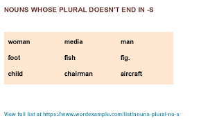 Nouns Whose Plural Doesn T End In S 500 Results