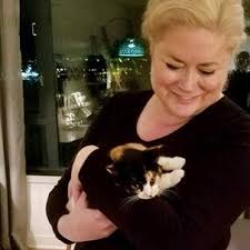 Webmd describes what to expect and when you'll have kittens! How To Properly Pick Up A Cat Hill S Pet