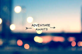 Download Ipad Wallpaper Tumblr Quotes Hd Wallpaper Backgrounds Tumblr Backgrounds Cat Desktop Wallpapers Tumblr Quotes Adventure Quotes Hd Quotes