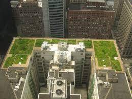 Eco roofs, or turf or green roofs as they're sometimes called, are ones which have surrounding impervious rooftops are the major source of water runoff contributing to the small flood events. Top Eco Friendly Roofing Options For Your House Ecomena