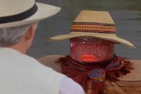 Happy Birthday, Carl Reiner: Celebrating the Bizarre Horror-Comedy 'The Man  With Two Brains'! - Bloody Disgusting