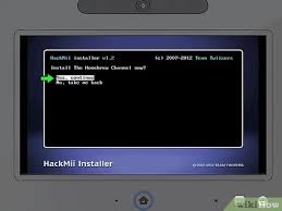 You can also free hunt where you get time to . How To Install The Homebrew Channel On The Wii U With Pictures