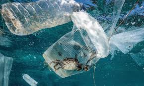 But there's a few that are special, and the coyote was one. Marine Plastic Pollution Costs The World Up To 2 5tn A Year Researchers Find Environmental Sustainability The Guardian