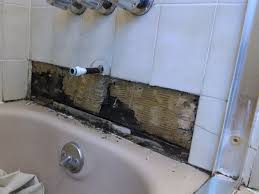 The pink mold may appear in any spots in the bathroom, but the most common locations for it to grow are in the tub, sink (and under it). Black Mold Under Tile In Bathroom Novocom Top