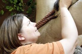 It's My Job: Part of the zoo crew