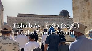 #tisha b'av 2020 #the reason for the season. Tisha B Av 5780 2020 On The Temple Mount Youtube