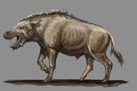 Archaeotherium Mortoni By Kookaburrasurvivor On Deviantart Prehistoric Animals Prehistoric Creatures Megafauna