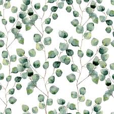 Behang Waterverf Het Groene Bloemen Naadloze Patroon Met Eucalyptus Rond Blad Met De Hand Geschilderd Patroon Met Takken En Bladeren Van De Zilveren Dollar Euc Witte Achtergrond Tropische Achtergrond Patroon Behang