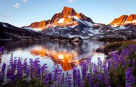 Wallpaper Flowers Rock Lake Mountain Images For Desktop Section Pejzazhi Download