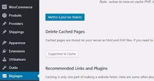 Wordpress caching can be tricky, with a range of options, plugins, problems and setups involved. So Bereinigen Sie Den Cache Eines Wordpress Blogs