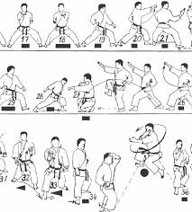 The karate techniques demonstrated in these kata consist of many karate strikes and karate blocks, as well as karate stances. Learning A Kata A Brief Study Guide Karate Daily