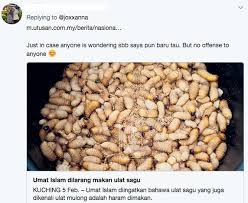 Ulat sagu boleh dibilang sebagai ulat terenak di dunia. Sushi Ulat Mulong Dah Sah Makanan Tradisi Kadazandusun Tapi Kenapa Orang Lain Terasa Fokus Cari Infonet