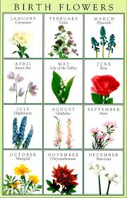 The ruling planet for this day in particular is mars, which bestows optimism, willpower relationships, marriage and children those with june 9 birthdays take pleasure in the close relationships that may result from large families. Flower For May Babies Online