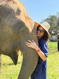 I an right now in Thailand. Will anyone be in Phuket from January 3rd to  January 7th? I'll also be visiting Singapore from January 8th to January  12th and Seoul from January