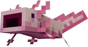 There are, in your eyes, no other redeeming features? Found A Weird Unused Texturepart In The Axolotl Texture And It Looked Like A Mouth So I Ofcourse Made A Pogaxolotl With It Minecraft