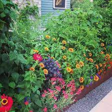 .together, flowers to plant with vegetables, flower and vegetable garden layout, flowers and herbs to plant with vegetables, flowers that grow well together this can be achieved by planting flowers in the same beds as your vegetables. 9 Growing Vegetables And Flowers Together Ideas Growing Vegetables Plants Flowers