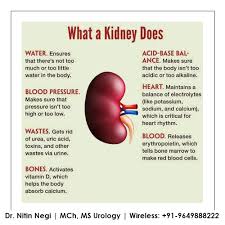 Pin On Urology