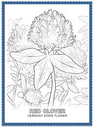 Vermont State Flower Red Clover By Usa Facts For Kids Coloring Pages Coloring Pages Nature Flower Coloring Pages
