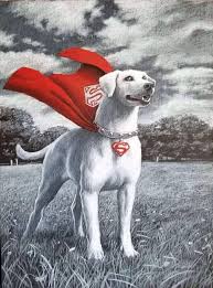 Krypto the superdog is superman ' s pet, a kryptonian creature with incredible powers and the appearance of a dog. Krypto By Greg Hildebrandt Dc Comics Wallpaper Comic Book Superheroes Dc Comics Art