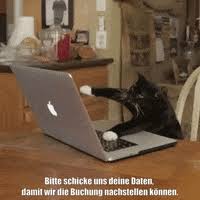 Maybe you would like to learn more about one of these? Weltkatzentag Gifs Get The Best Gif On Giphy