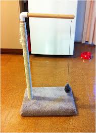 How can these toys enrich your cat's day? Top 10 Fun Diy Cat Toys