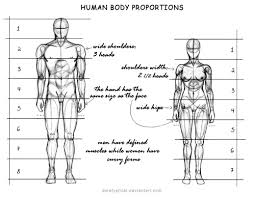 Select from premium human body proportions images of the highest quality. Photoshop For Noobs Human Body Proportions Male And Female By