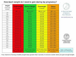 58 complete twin weight gain chart