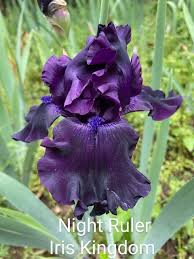 Image result for Light Harvest Gold 1977 Fedders