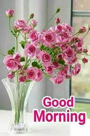 We did not find results for: 100 Good Morning Images With Flowers To Brighten Her Day