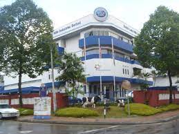 Các bạn hẳn sẽ có rất nhiều câu hỏi dành cho frieslandcampina việt nam. Dutch Lady Industries Company Background