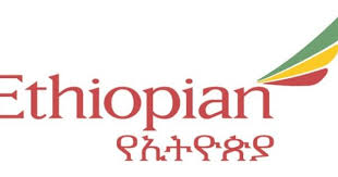 Pin By Aviogenex On Airline Logos Airline Logo Logo Color Schemes Ethiopian
