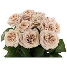 You do not need a business license to shop flowers, plants, greens, or supplies. Westminster Abbey Sassen B V Vip Roses August Wedding Flowers Pretty Flowers Blush Flowers