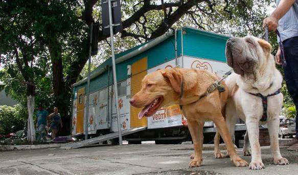 Vetmóvel é referência no atendimento veterinário e em serviços voltados  para o bem-estar animal em Fortaleza