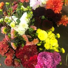Maybe you would like to learn more about one of these? Candler Park Flowers Home Facebook