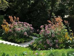 Jeder garten und hof sollte sträucher enthalten. Stauden Staudenpflanzen