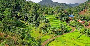Gambar pemandangan alam terindah di dunia. 10 Foto Pemandangan Alam Yang Jadi Bukti Keindahan Alam Indonesia