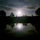 Autumn Night Walk With Tom Forward, Wildlife Guide event image