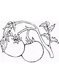page 44 sur hugolescargot com coloriage fruits tomate dessin citations de lion