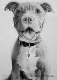 Pin On Animals In Art