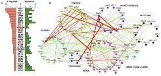 Image result for network yeast