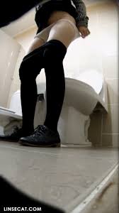 한국 화장실 몰카 : 사무실에서 오줌누는 여자 광각 파노라마 샷, 오줌싸는 소리가 커서 오래 참았나봐 - 인색 한 고양이