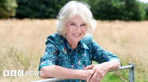 BBC - News update