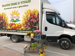Consegnafiori.it è il tuo negozio online di fiducia per la consegna fiori a domicilio in tutta italia e nel mondo. Consegna A Domicilio Floricoltura Marcon Piante E Fiori A Pojana Maggiore