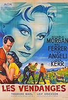 Le puits aux trois vérités (1961)