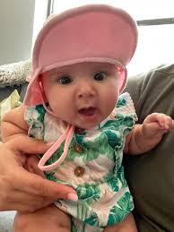 Favorite non-fishing-or-bird-related things to do in Florida Gulf Coast