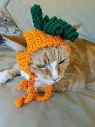Ravelry Pumpkin Cat Hat Pattern By To Craft A Home Cat Hat Pattern Crochet Cat Hat Cat Hat