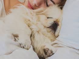 Diese diskussion wird extrem dramatisiert, das thema total überbewertet. V6jimjp O30uem