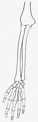 *аниме и манга, *тело, *анатомия книга how to draw manga vol. Full Size Of How To Draw Anime Anatomy Shoes Drawing Line Art Hd Png Download Vhv